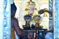 Brahmakalashanga Rathotsava at Shrimath Anantheshwar Temple Vittal (3 May 2025)